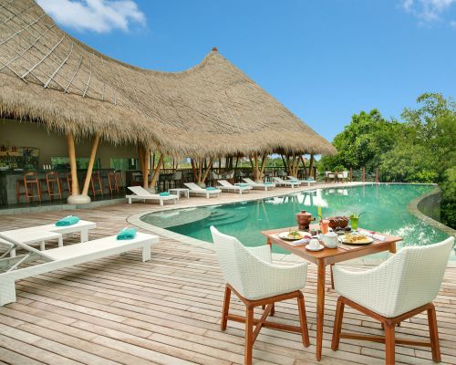 The Garden of Sarasvati