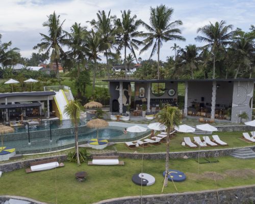 The Garden of Sarasvati