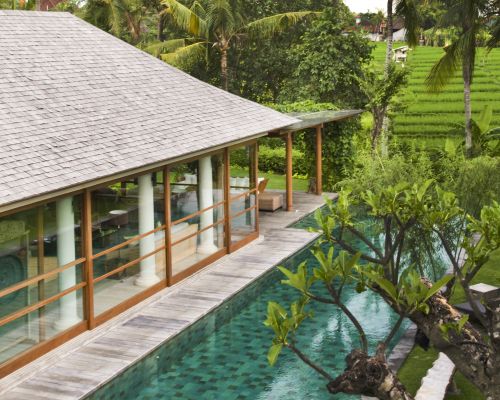 The Garden of Sarasvati